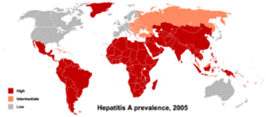 http://www.tieronline.org/Vorurteile/tieronline_hepatitis.png