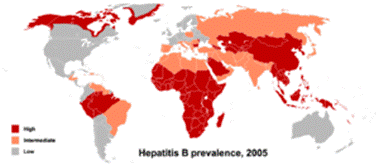 http://www.tieronline.org/Vorurteile/tieronline_hepatitisb.png