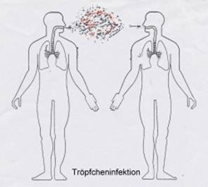 http://www.tieronline.org/Vorurteile/tieronline_troepfchen.jpg